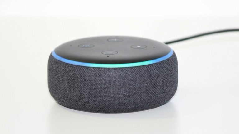 Smart Speaker Nutzung