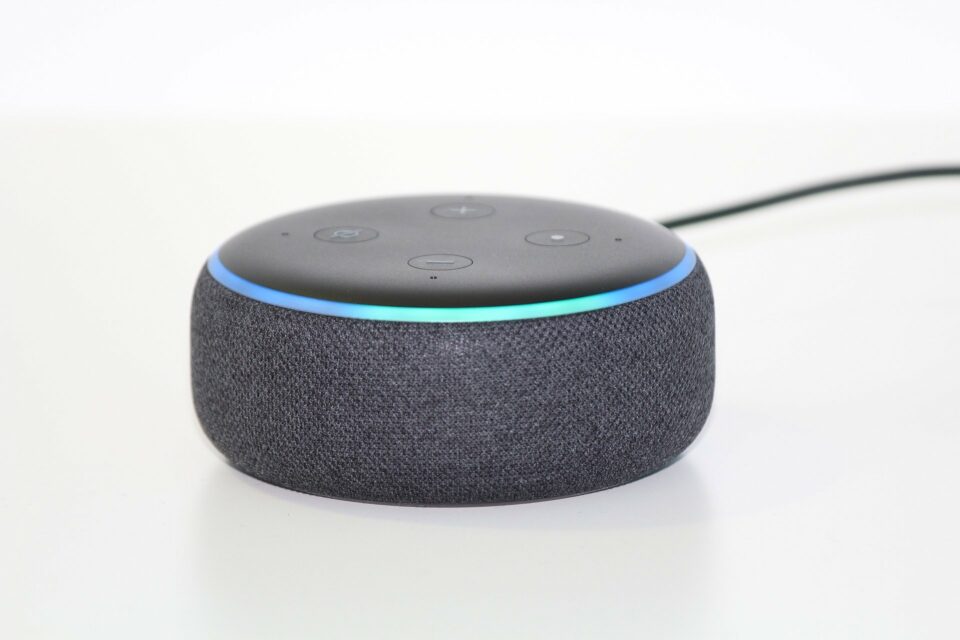 Smart Speaker Nutzung
