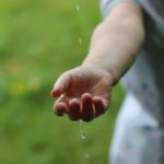 GfK Studie Thema Nachhaltigkeit - IMSF News