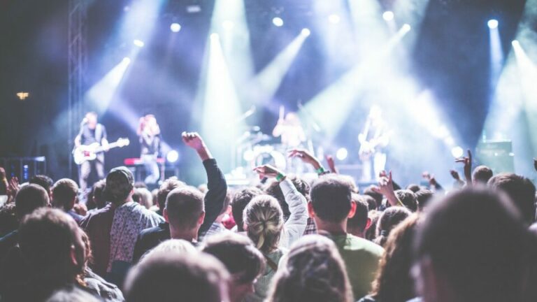 Blick von einem Konzert über die Köpfe der Besucher auf die Bühne