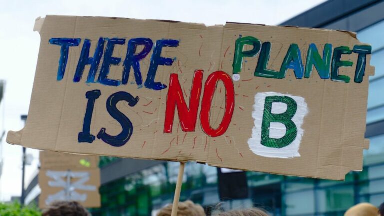 Demonstartion. Man sieht ein Schild in Nahaufnahme mit dem Spruch: There is no Planet B
