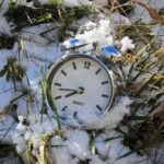 WEcker liegt in Wiese mit Schnee