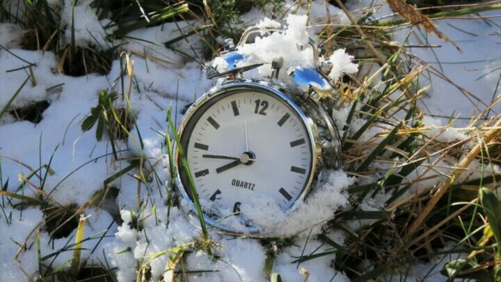 WEcker liegt in Wiese mit Schnee