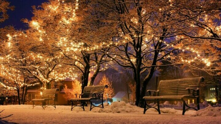 Drei Bänke in einem Park im Winter. In den Bäumen hängen Lichterketten