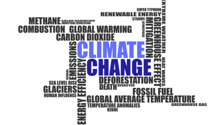 Wordcloud zum Thema Klima Umweltbewusstseinsstudie