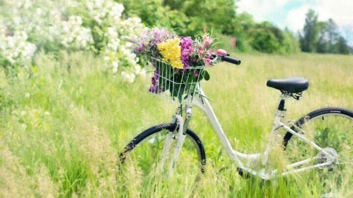 Fahrrad mit Korb voll Blumen auf eine wild bewachsenen Wiese