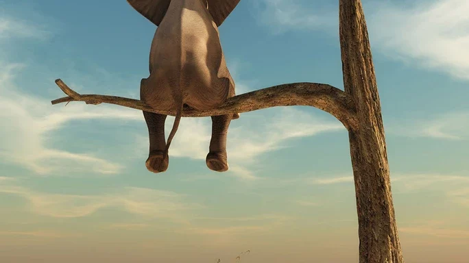 AI-Bild. Elefant sitzt in einer Wüste auf dem Ast eines vertrockneten Baumes.